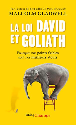 LA LOI DAVID ET GOLIATH